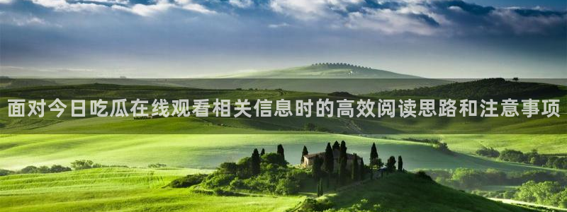 吃瓜热点动态:面对今日吃瓜在线观看相关信息时的高效阅读思路和注意事项
