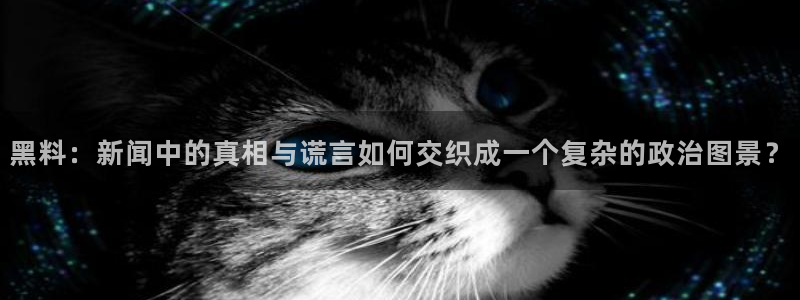 最新话题爆料：黑料：新闻中的真相与谎言如何交织成一个复杂的政治图景？