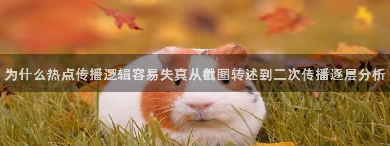 911爆料大全:为什么热点传播逻辑容易失真从截图转述到二次传播逐层分析