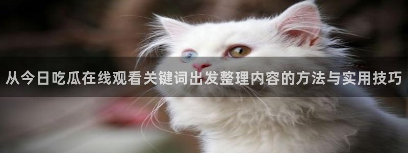 今日网络热点:从今日吃瓜在线观看关键词出发整理内容的方法与实用技巧