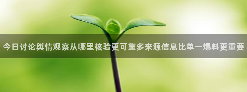 911爆料新闻