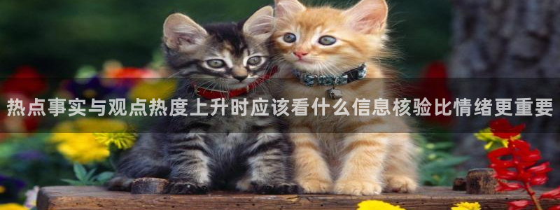 911吃瓜网络信息